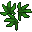 herbs